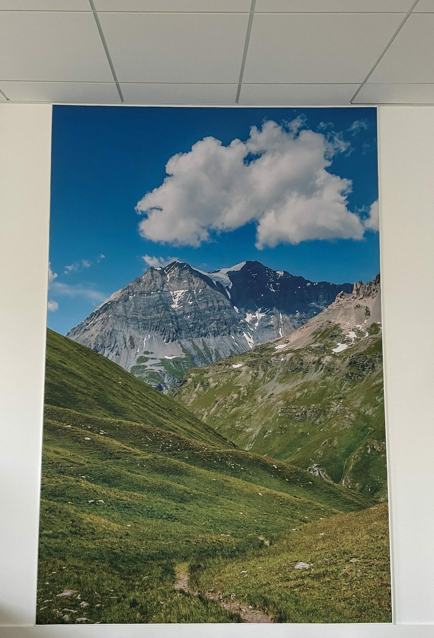 Plafond tendu imprimé en haute définition