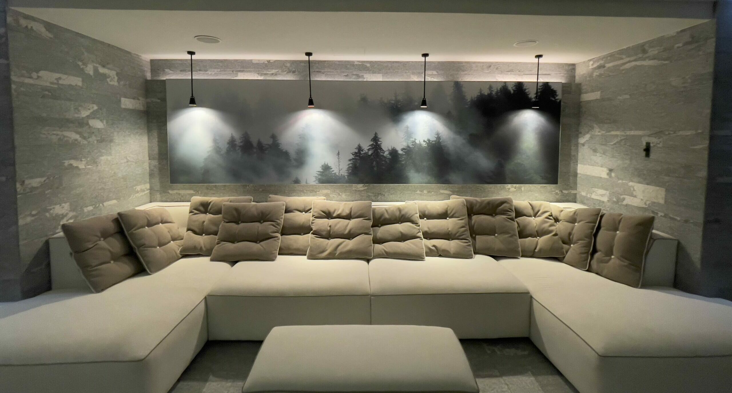 Toile tendue mur acoustique forêt courchevel